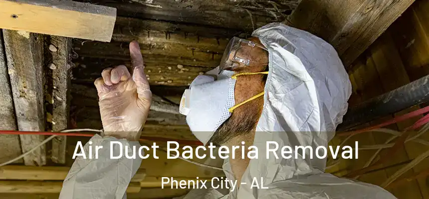  Air Duct Bacteria Removal Phenix City - AL