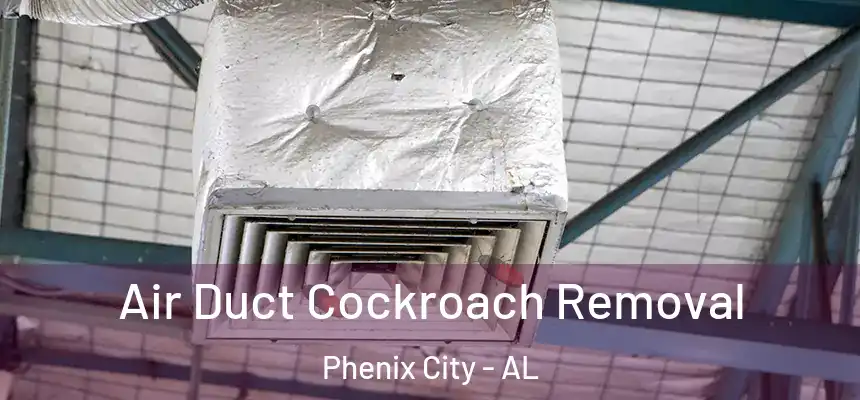  Air Duct Cockroach Removal Phenix City - AL