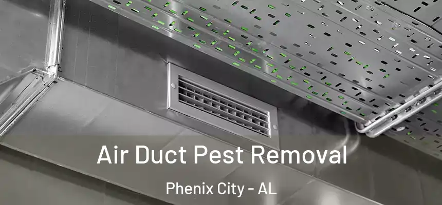 Air Duct Pest Removal Phenix City - AL