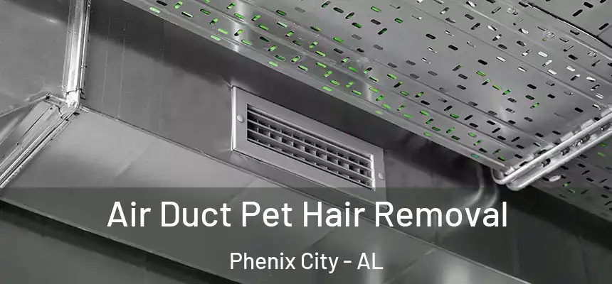 Air Duct Pet Hair Removal Phenix City - AL