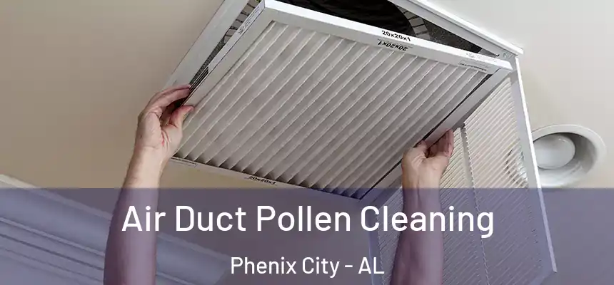  Air Duct Pollen Cleaning Phenix City - AL