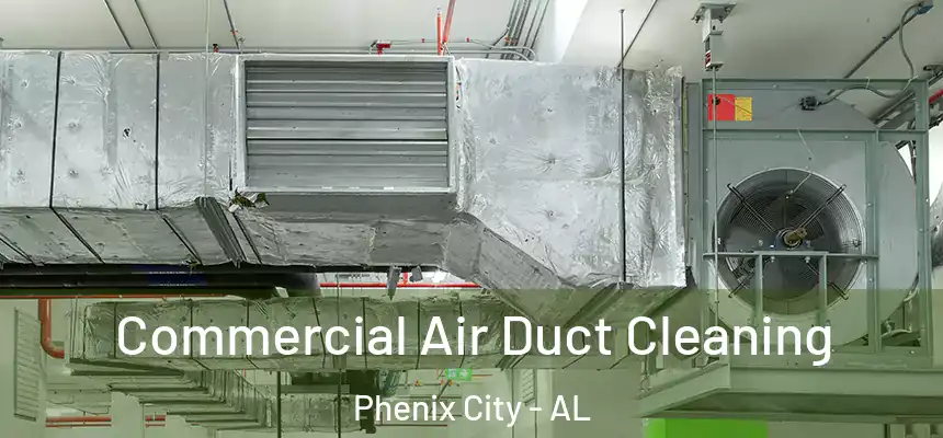 Commercial Air Duct Cleaning Phenix City - AL