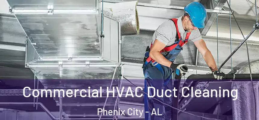  Commercial HVAC Duct Cleaning Phenix City - AL