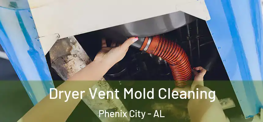 Dryer Vent Mold Cleaning Phenix City - AL