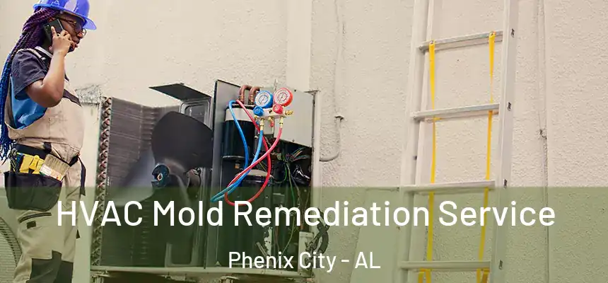  HVAC Mold Remediation Service Phenix City - AL