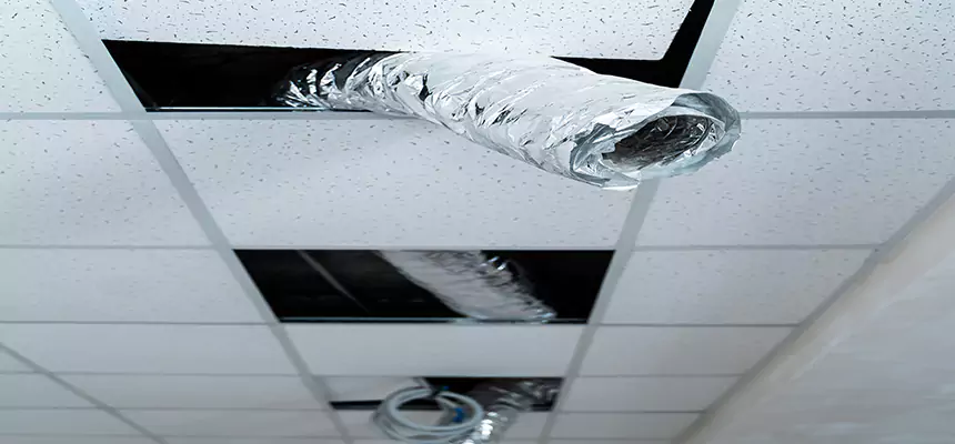 Affordable HVAC Sanitizing After Pest Removal in Phenix City