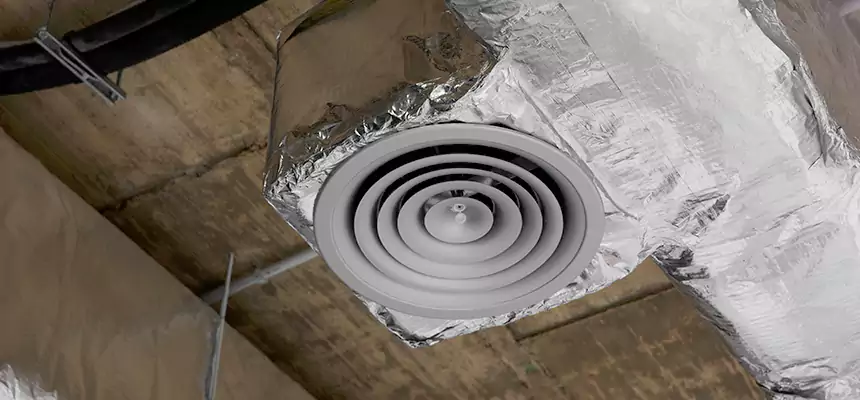 Our Excess Lint Removal from Dryer Ducts Services in Phenix City, AL