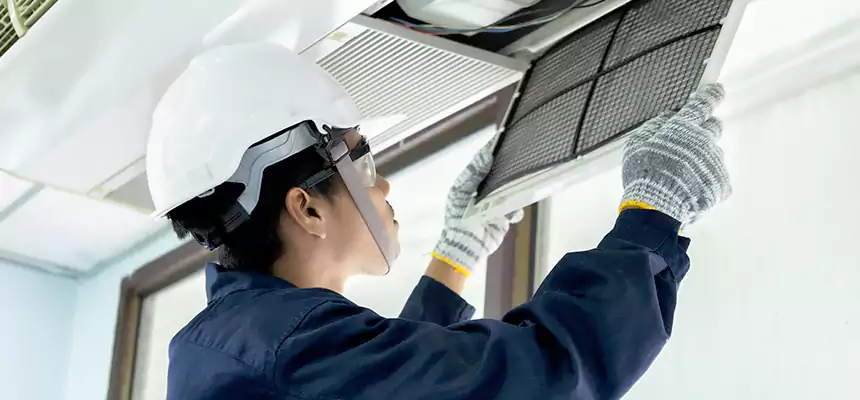 Our Mold & Mildew Removal from Air Ducts Services in Phenix City, AL