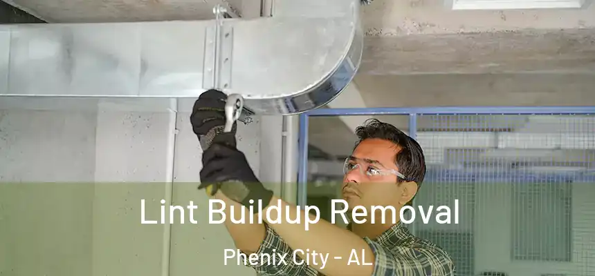  Lint Buildup Removal Phenix City - AL