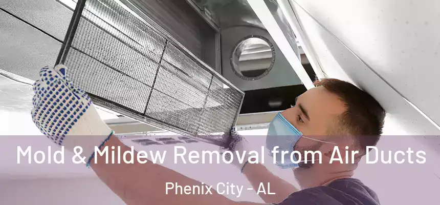  Mold & Mildew Removal from Air Ducts Phenix City - AL