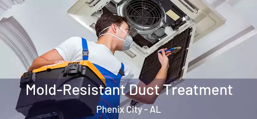  Mold-Resistant Duct Treatment Phenix City - AL