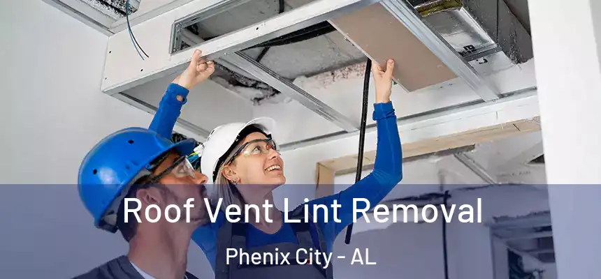  Roof Vent Lint Removal Phenix City - AL