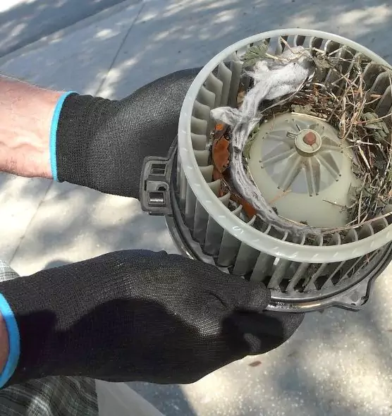 About Air Duct Mice Removal in Phenix City, AL