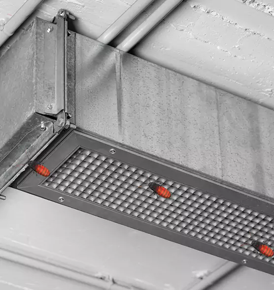 Affordable Insect Removal from Air Ducts in Phenix City, AL