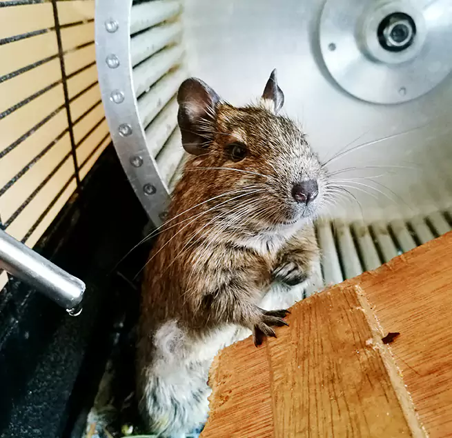 Why Homeowners & Businesses Trust Us Phenix City, AL