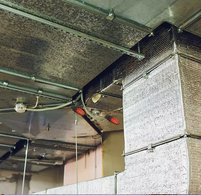 Why Homeowners & Businesses Trust Us Phenix City, AL?