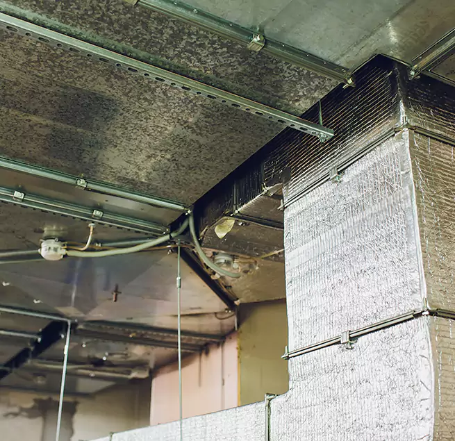 Why Homeowners & Businesses Trust Us in Phenix City, AL?